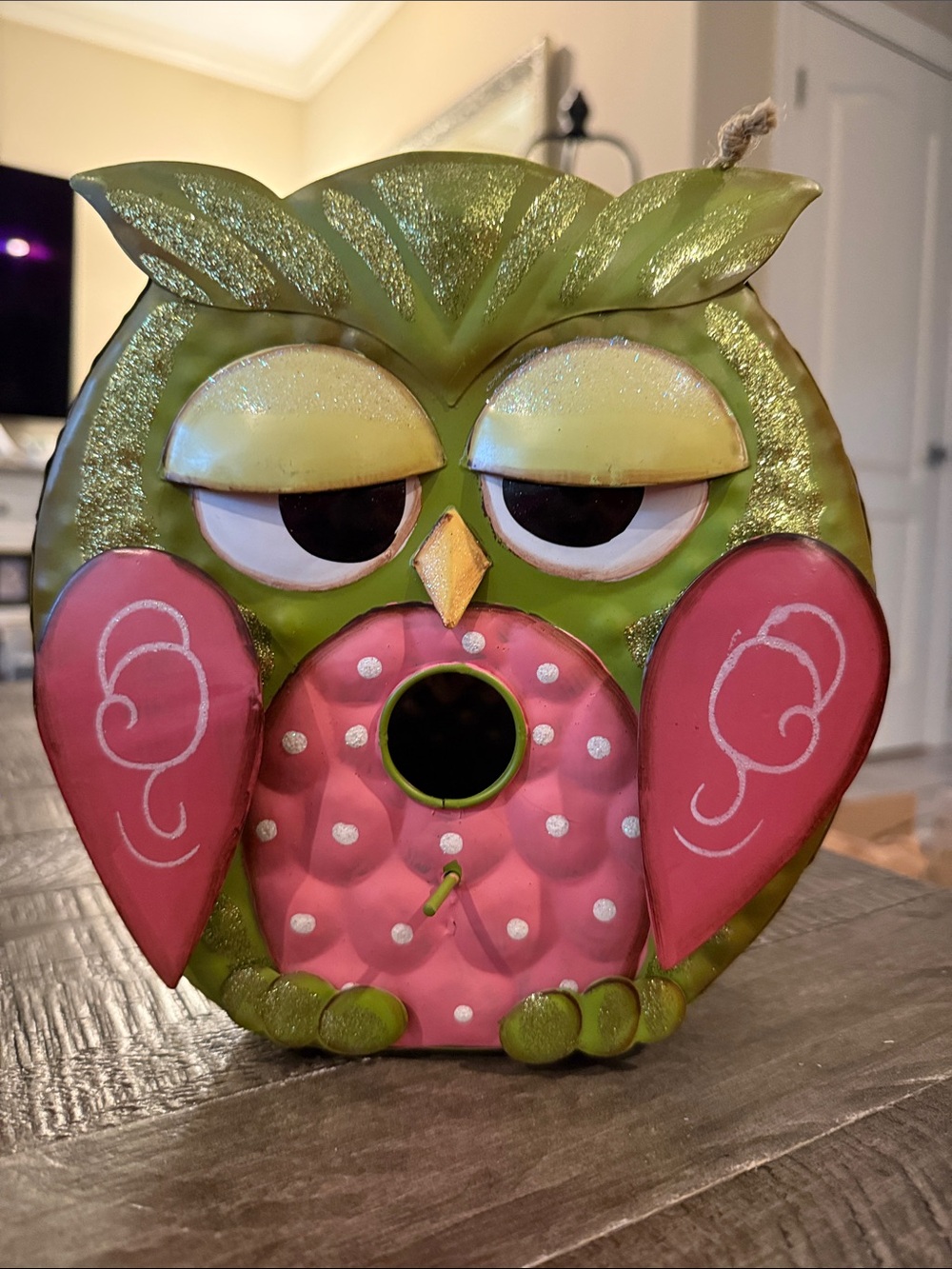 Whimsical Green and Pink Owl Birdhouse - NWOT